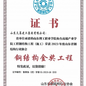 钢结构金奖工程