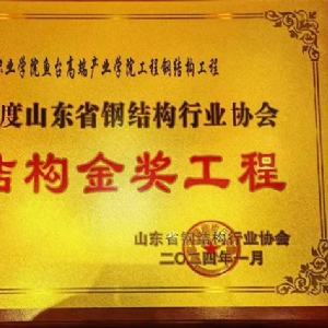 钢结构金奖工程