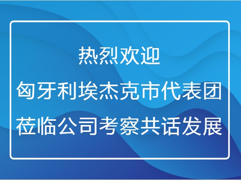热烈欢迎匈牙利埃杰克市代表团莅临公司考察共话发展